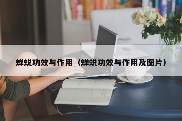 蝉蜕功效与作用（蝉蜕功效与作用及图片）