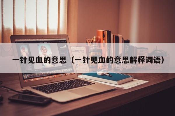 一针见血的意思（一针见血的意思解释词语）