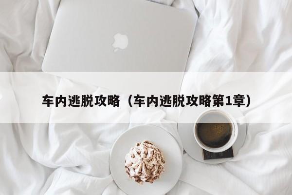 车内逃脱攻略（车内逃脱攻略第1章）