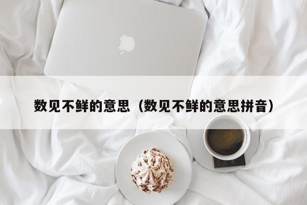 数见不鲜的意思（数见不鲜的意思拼音）