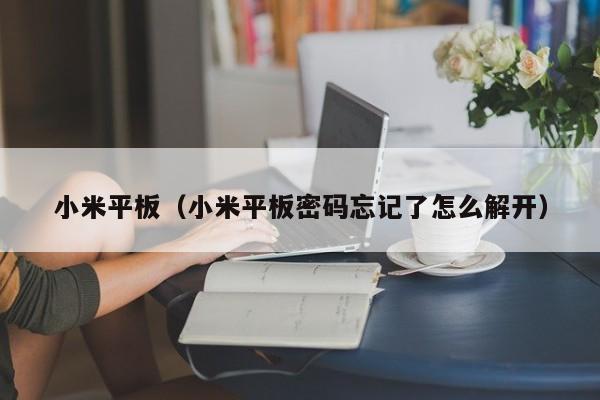 小米平板（小米平板密码忘记了怎么解开）