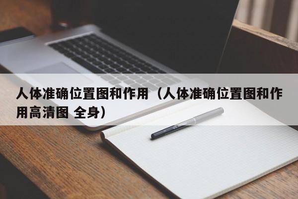 人体准确位置图和作用（人体准确位置图和作用高清图 全身）