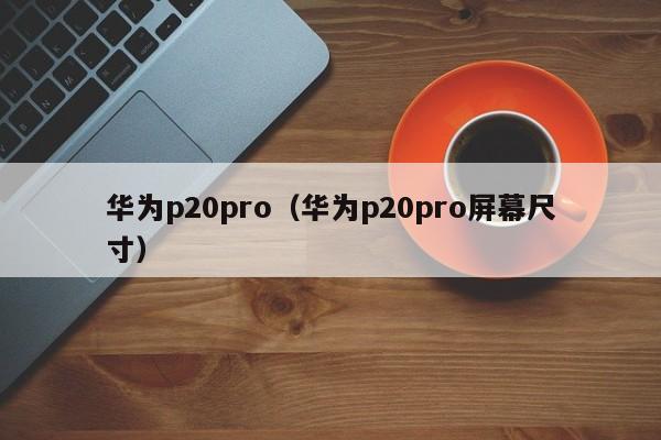 华为p20pro（华为p20pro屏幕尺寸）