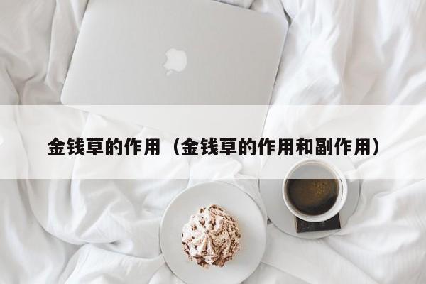 金钱草的作用（金钱草的作用和副作用）