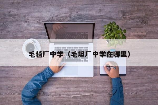 毛毯厂中学（毛坦厂中学在哪里）