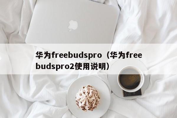 华为freebudspro（华为freebudspro2使用说明）