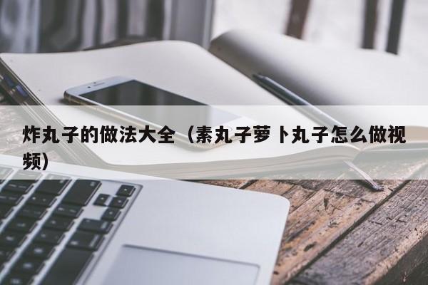 炸丸子的做法大全（素丸子萝卜丸子怎么做视频）