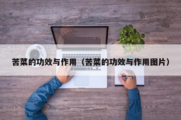 苦菜的功效与作用（苦菜的功效与作用图片）