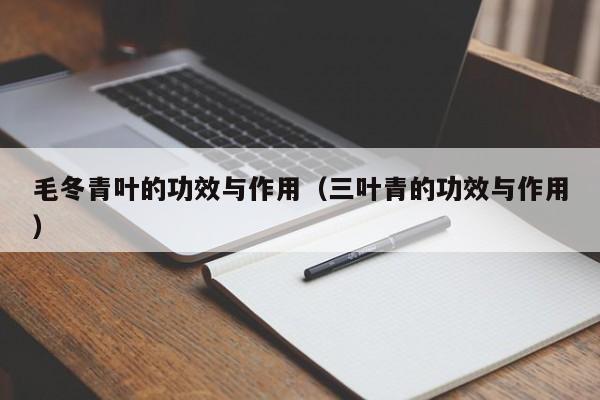 毛冬青叶的功效与作用（三叶青的功效与作用）