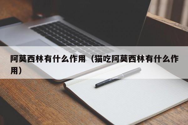 阿莫西林有什么作用（猫吃阿莫西林有什么作用）