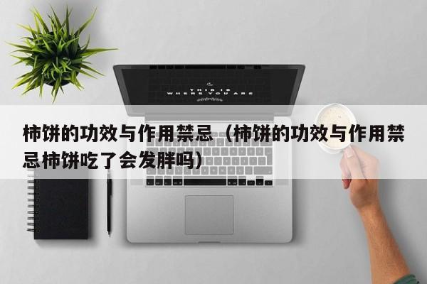 柿饼的功效与作用禁忌（柿饼的功效与作用禁忌柿饼吃了会发胖吗）