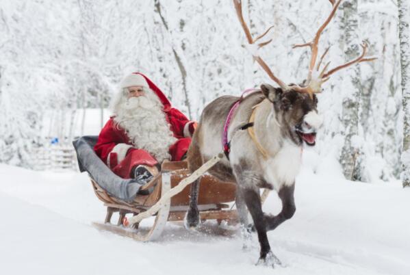 世界十大耐寒能力强的动物 大白鲨上榜,海豹排名第二