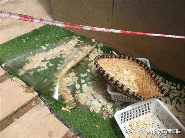 贵阳十大刑事辩护律所2025年排行榜前十名榜单出炉