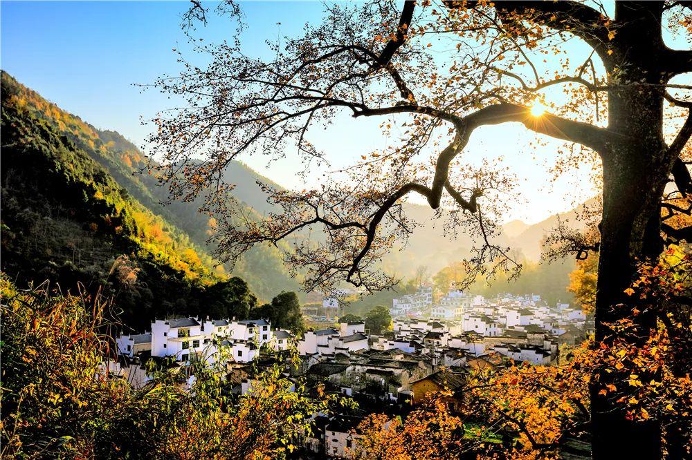 江西十大秋季旅游好去处2025年排行榜前十名榜单出炉