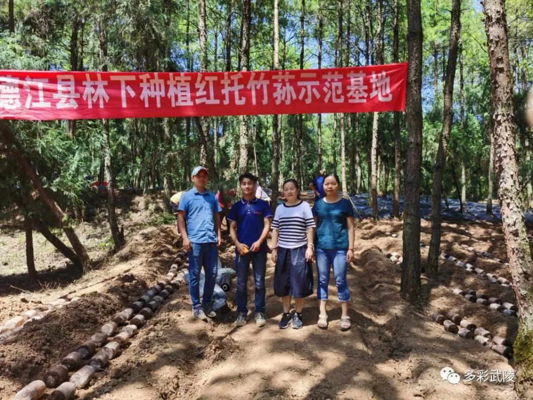 2025年铜仁职业技术学院招生章程