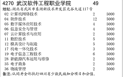 2025年武汉软件工程职业学院招生章程