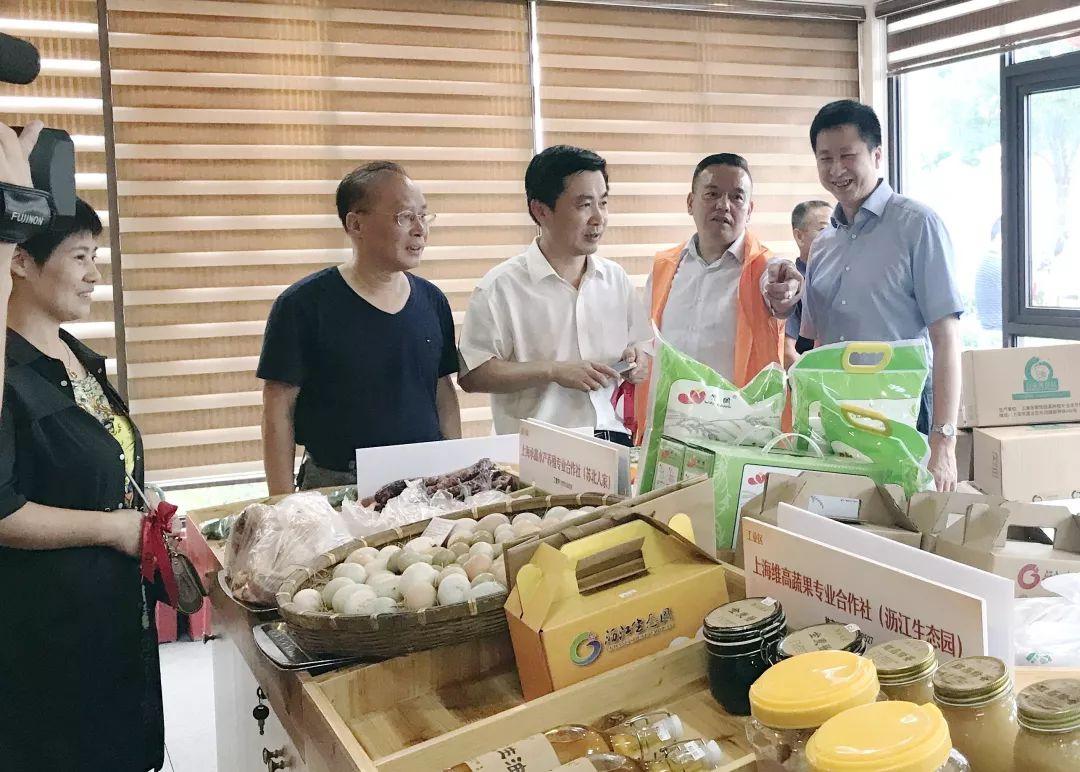 上海市嘉定区十大著名旅游景点2025年排行榜前十名榜单出炉 上海市嘉定区十大著名旅游景点2025年排行榜前十名榜单出炉