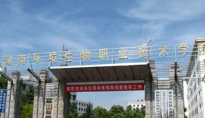 2025年湖南信息职业技术学院招生章程