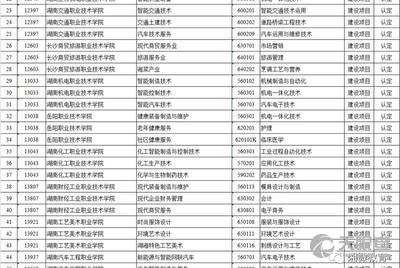 2025年湖南信息职业技术学院招生章程