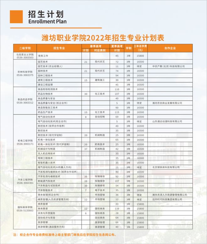 2025年潍坊学院招生章程