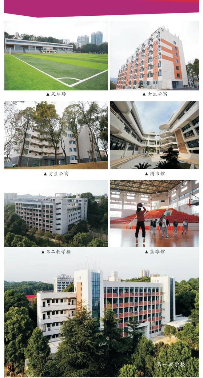 2025年益阳师范高等专科学校招生章程