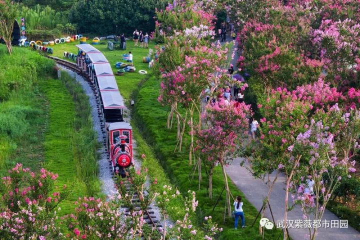 武汉市新洲区十大著名旅游景点2025年排行榜前十名榜单出炉