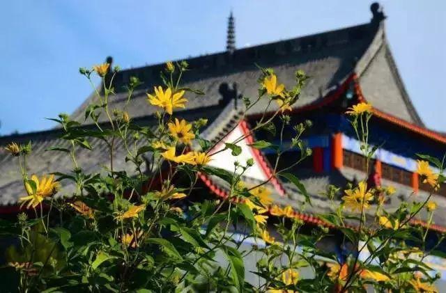 湛江十大著名寺庙2025年排行榜前十名榜单出炉