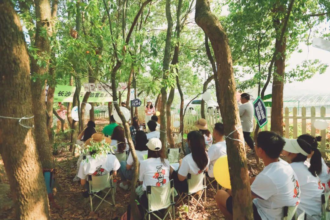 长沙十大夏季旅游好去处2025年排行榜前十名榜单出炉