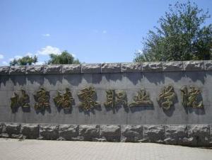 2025年北京培黎职业学院招生章程