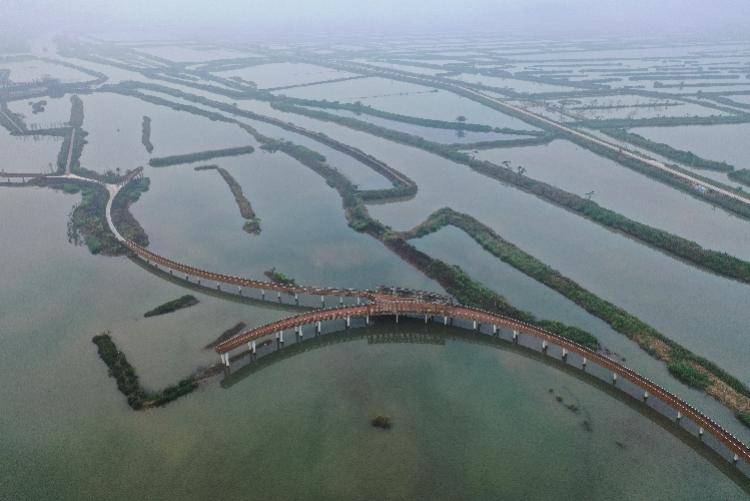 珠海十大城市公园2025年排行榜前十名榜单出炉 珠海十大城市公园2025年排行榜前十名榜单出炉