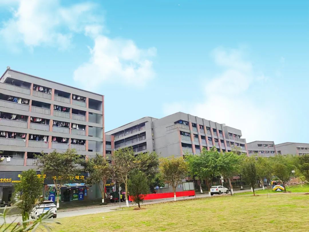 2025年重庆艺术工程职业学院招生章程
