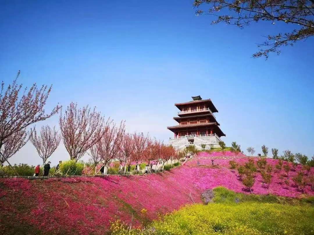 河南十大适合清明节旅游的地方2025年排行榜前十名榜单出炉 河南十大适合清明节旅游的地方2025年排行榜前十名榜单出炉