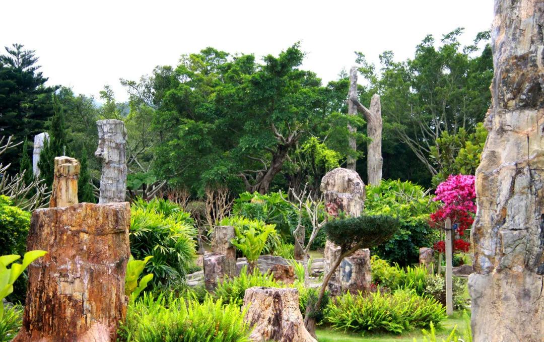 深圳十大著名寺庙2025年排行榜前十名榜单出炉 深圳十大著名寺庙2025年排行榜前十名榜单出炉