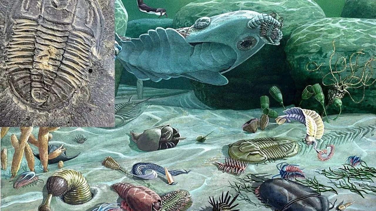 海洋十大具有超能力的生物2025年排行榜前十名榜单出炉 海洋十大具有超能力的生物2025年排行榜前十名榜单出炉