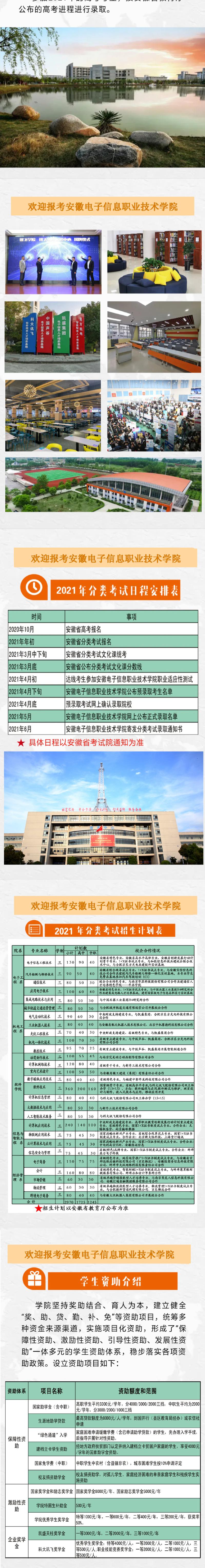 2025年安徽电子信息职业技术学院招生章程