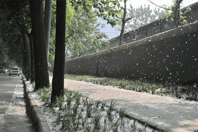 山西十大最适合看雪的地方2025年排行榜前十名榜单出炉 山西十大最适合看雪的地方2025年排行榜前十名榜单出炉