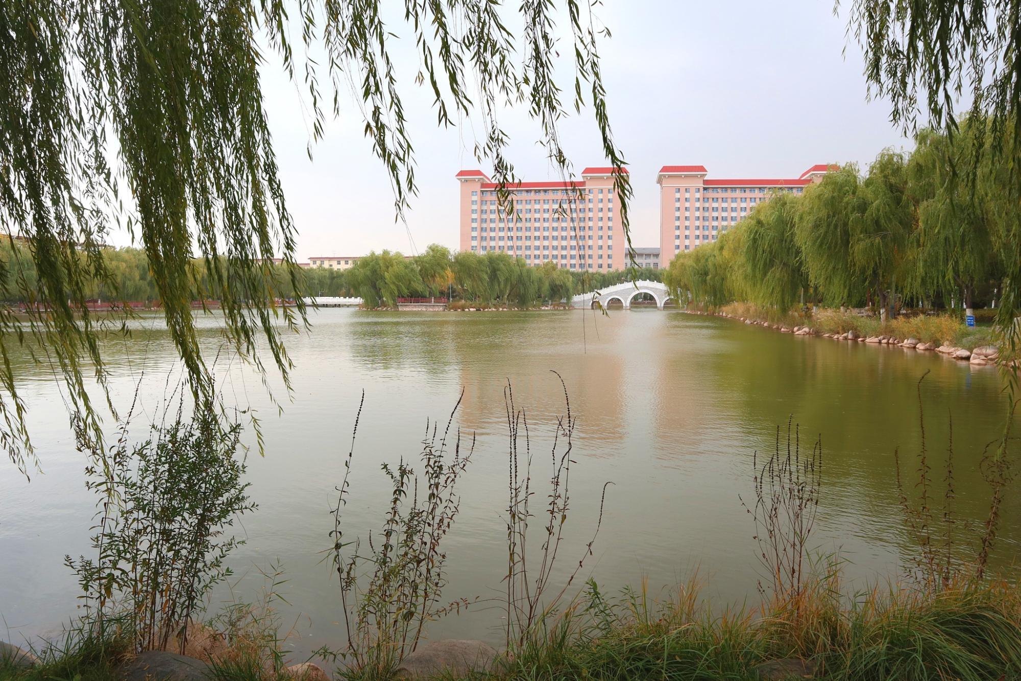 2025年北方民族大学艺术类招生简章