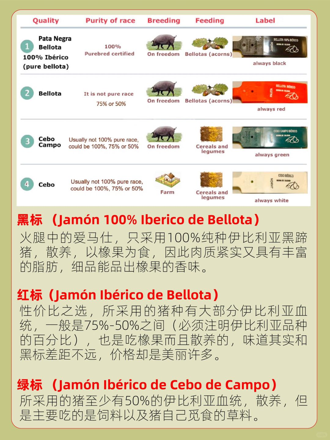 世界十大最贵火腿2025年排行榜前十名榜单出炉 世界十大最贵火腿2025年排行榜前十名榜单出炉