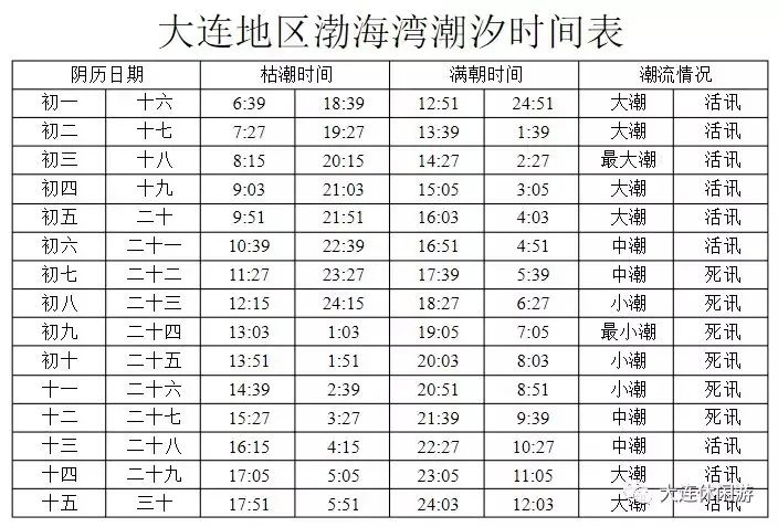 大连十大最适合赶海的地方2025年排行榜前十名榜单出炉