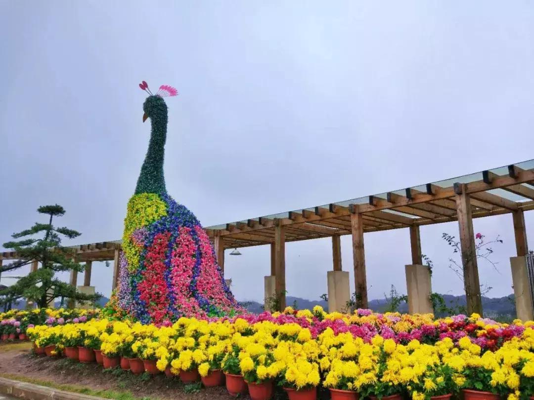 贵阳市11月旅游十大好去处2025年排行榜前十名榜单出炉 贵阳市11月旅游十大好去处2025年排行榜前十名榜单出炉