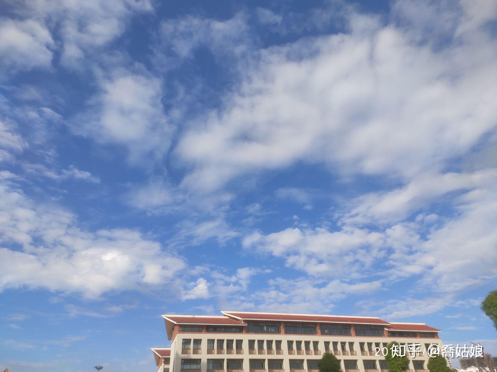 2025年崇左幼儿师范高等专科学校招生章程