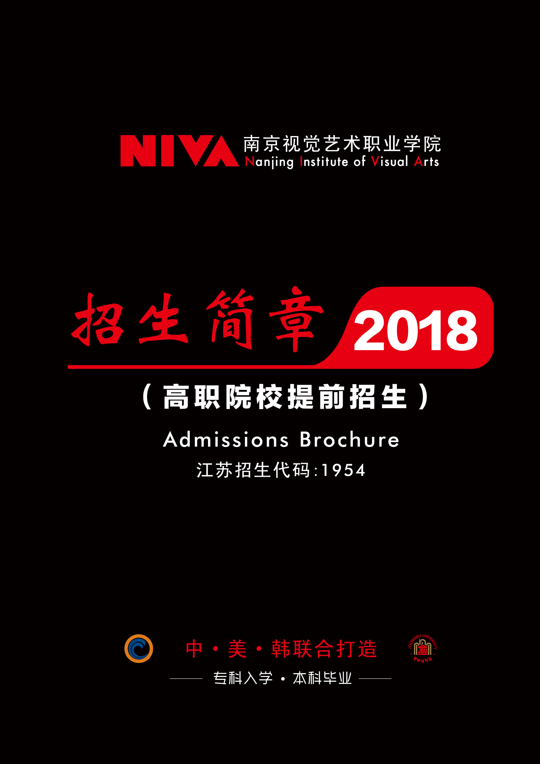 2025年南京视觉艺术职业学院提前招生章程