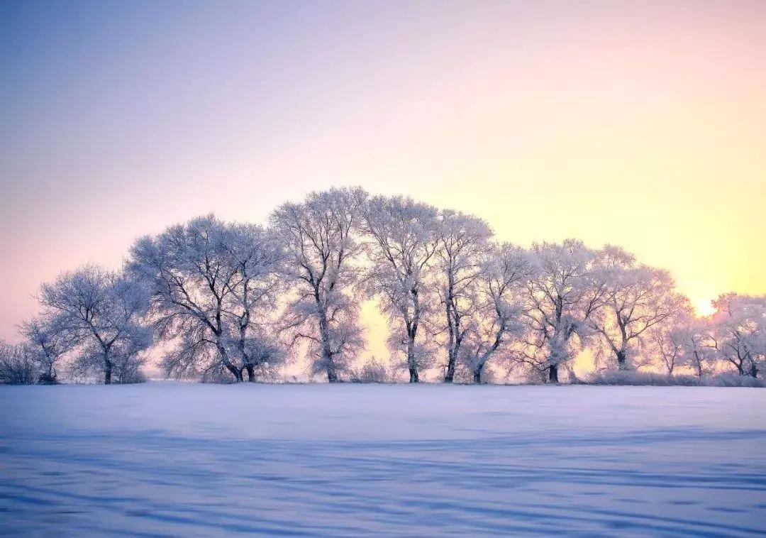 山东十大最适合看雪的地方2025年排行榜前十名榜单出炉