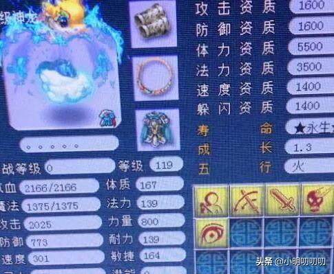 十大最难养的宠物2025年排行榜前十名榜单出炉
