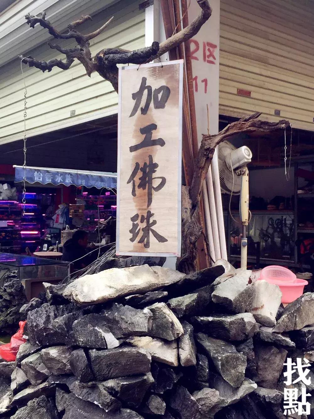 南宁十大花鸟市场2025年排行榜前十名榜单出炉