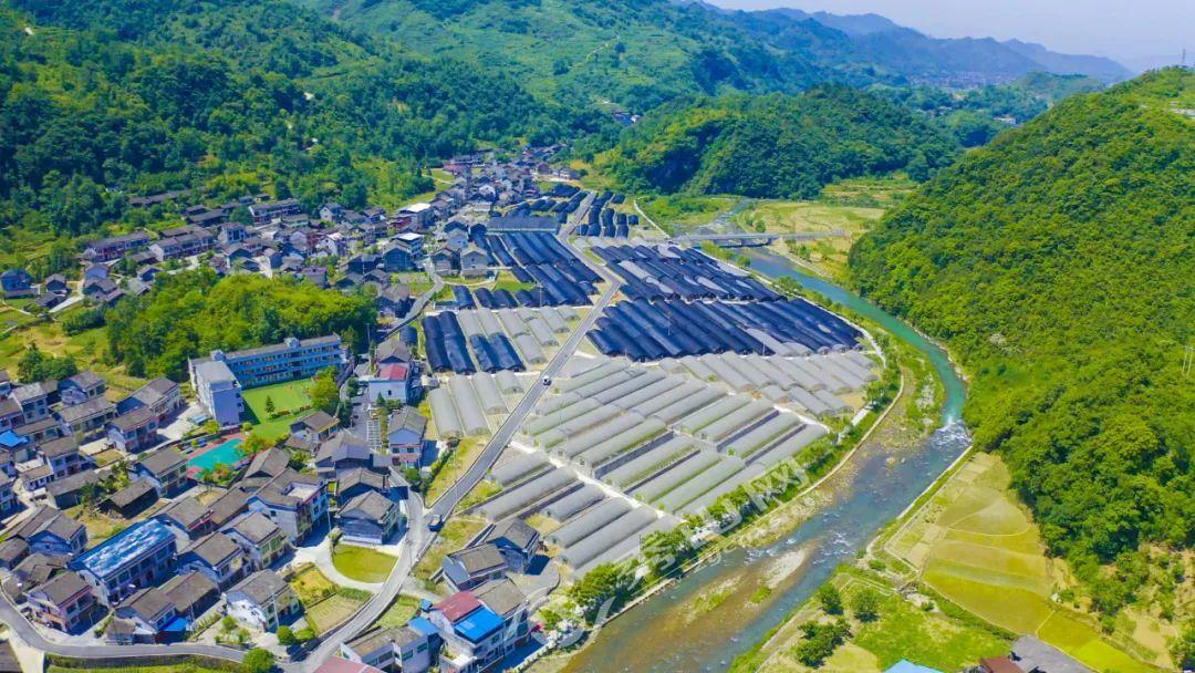 2025年重庆外语外事学院招生章程