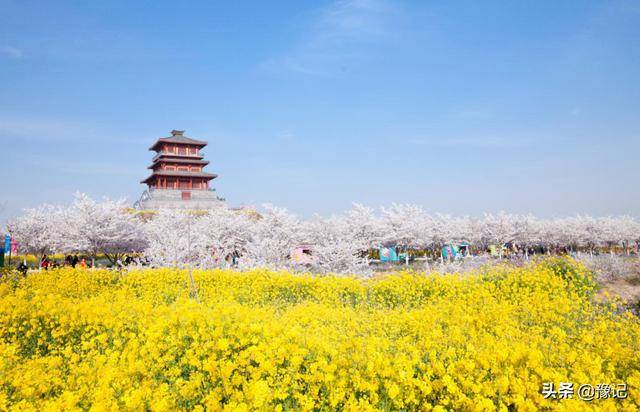 郑州十大适合春季旅游的地方2025年排行榜前十名榜单出炉