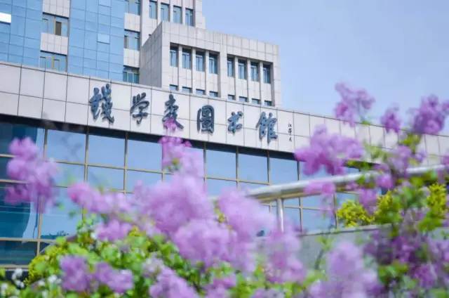 2025年西安交通大学城市学院招生章程