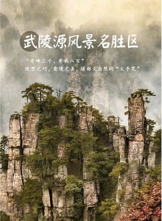 武陵源十大特产2025年排行榜前十名榜单出炉 武陵源十大特产2025年排行榜前十名榜单出炉