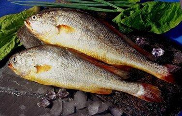 海南必买的十大美食特产2025年排行榜前十名榜单出炉